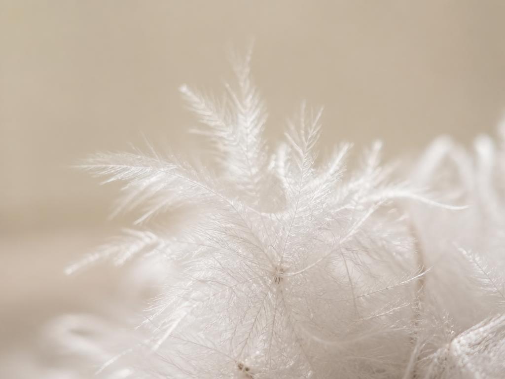 Macro view of white down clusters before filling